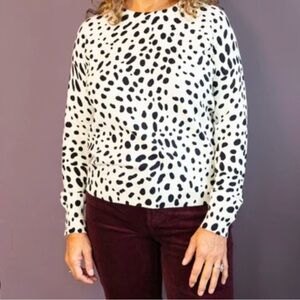 J Society Spotted Print Sweater with Racing Stripe Contrast XL